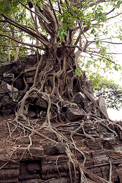 ANGKOR