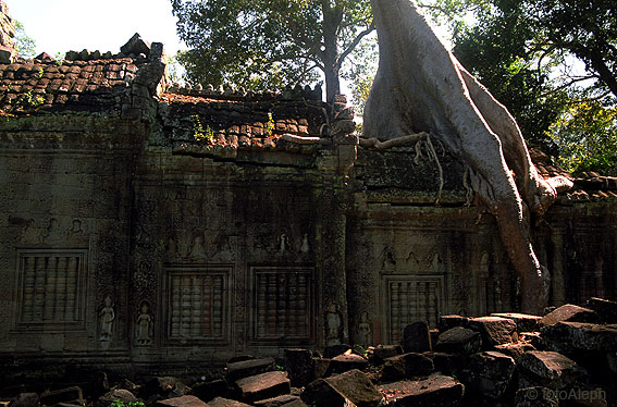 ANGKOR