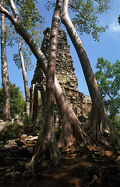 ANGKOR