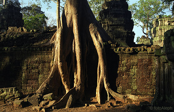 ANGKOR