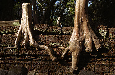 ANGKOR