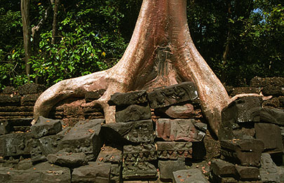 ANGKOR