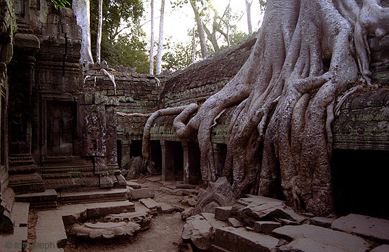 ANGKOR