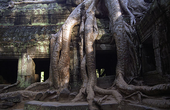 ANGKOR