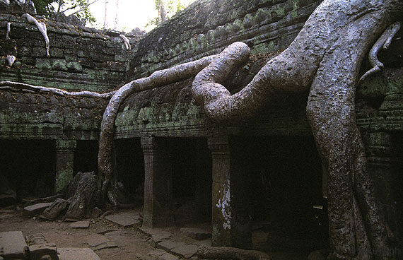 ANGKOR