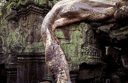 ANGKOR