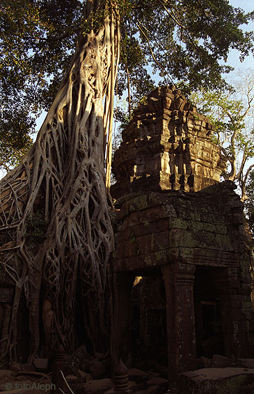 ANGKOR