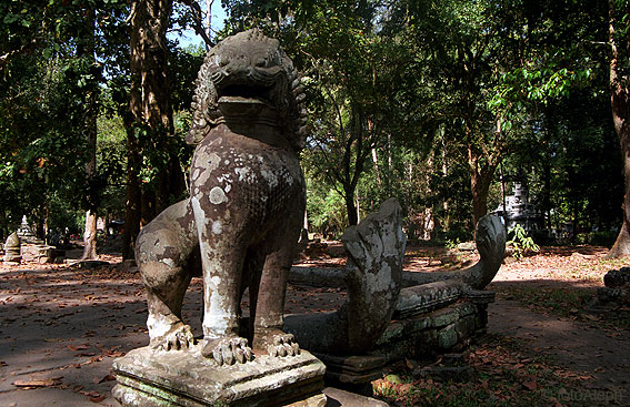 ANGKOR