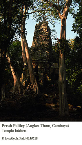 ANGKOR