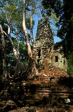 ANGKOR