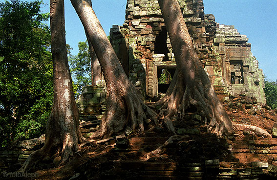 ANGKOR