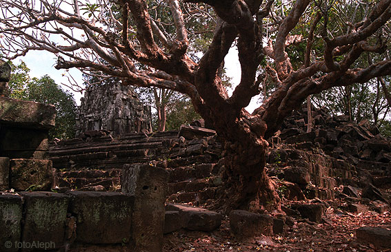 ANGKOR