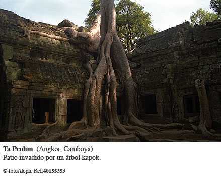 ANGKOR