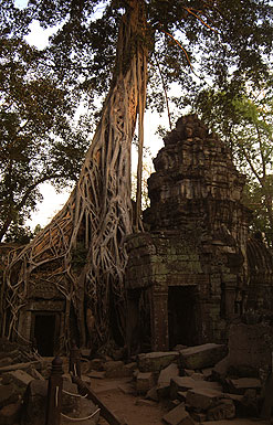 ANGKOR