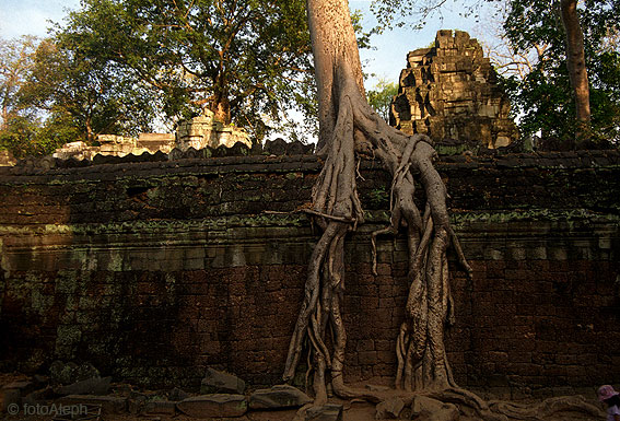 ANGKOR