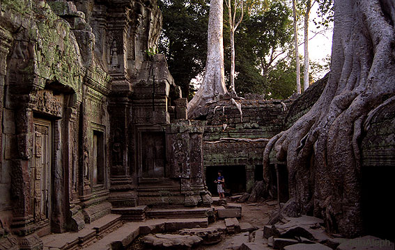 ANGKOR