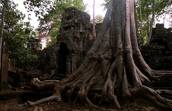 ANGKOR