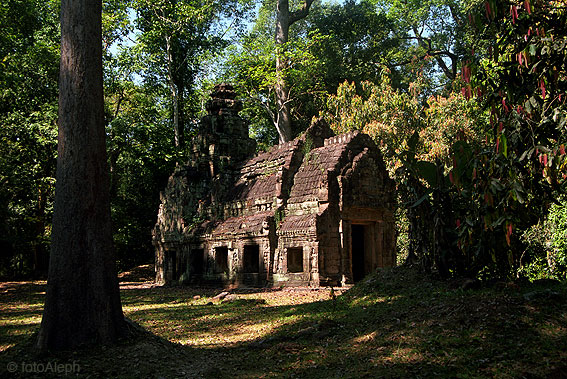 ANGKOR