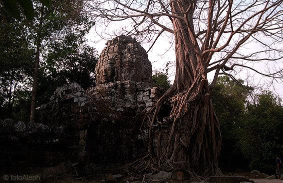 ANGKOR