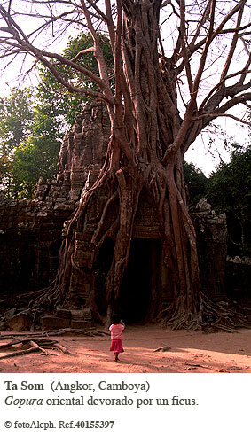 ANGKOR