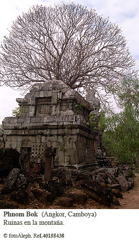 ANGKOR