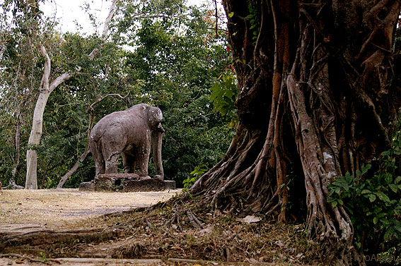 ANGKOR