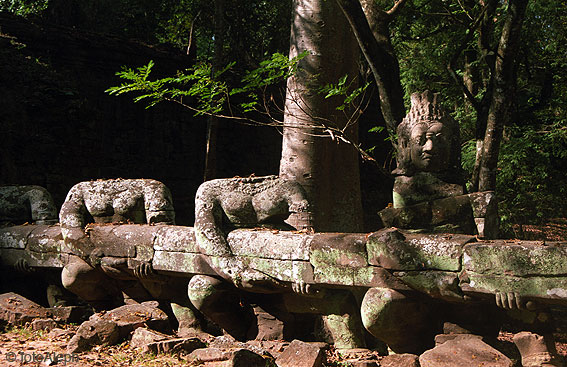 ANGKOR