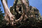 Angkor