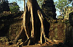 Angkor