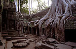 Angkor