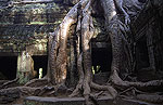 Angkor