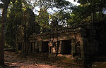 Ta Prohm (Angkor)