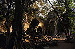 Ta Prohm (Angkor)