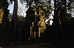 Ta Prohm (Angkor)