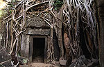 Ta Prohm (Angkor)