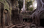 Ta Prohm (Angkor)