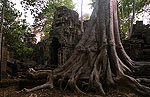 Ta Nei (Angkor)
