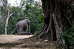 Mebon Oriental (Angkor)