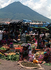 ENTRE VOLCANES