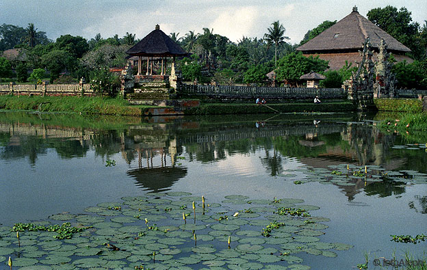 Bali