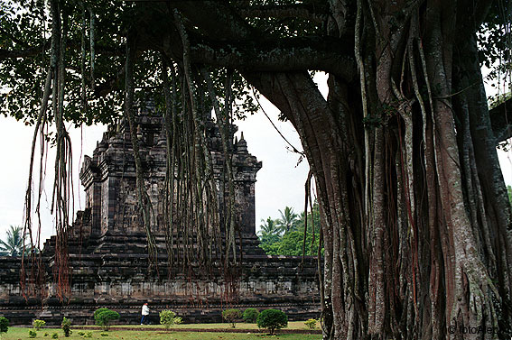 Borobudur