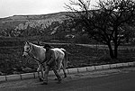 Capadocia