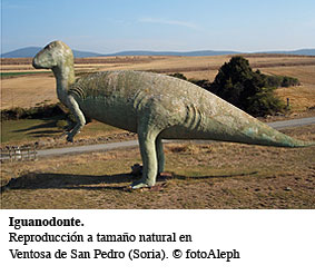 Iguanodonte