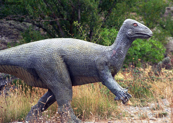 Dinosaurio. Enciso