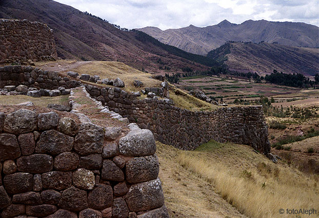 Los incas