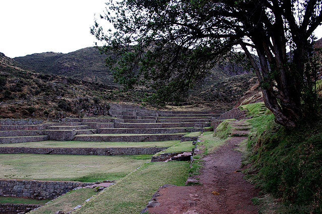 Los incas