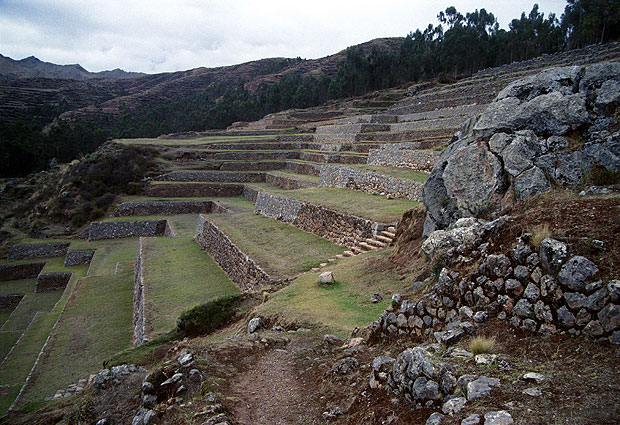 Los incas