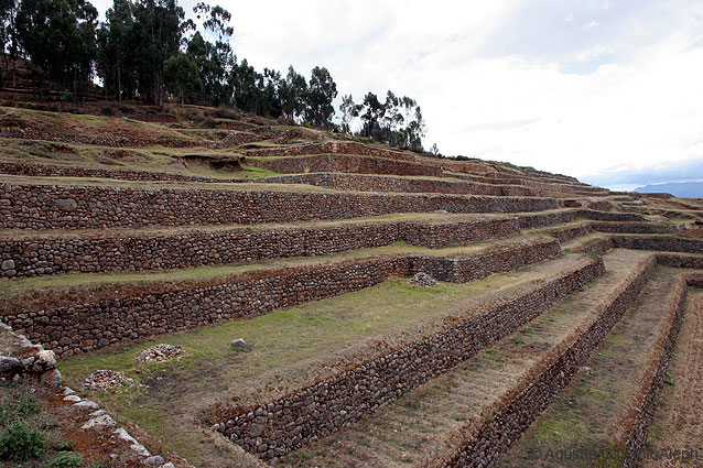 Los incas