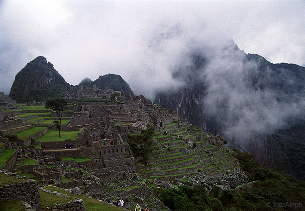 Los incas