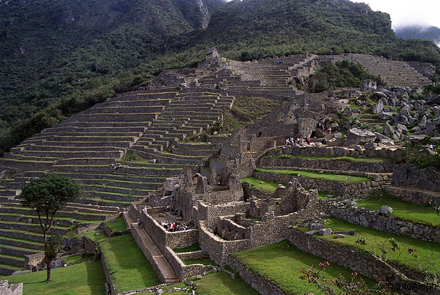 Los incas